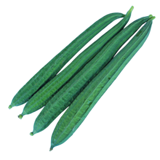 Rajnish Ridge Gourd From Known You Seed (India)-KYI